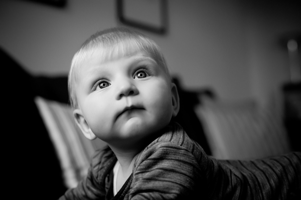 babyportrætter babyfotograf købenahvn