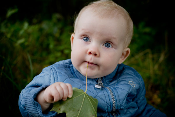 udendørs babyfotografi